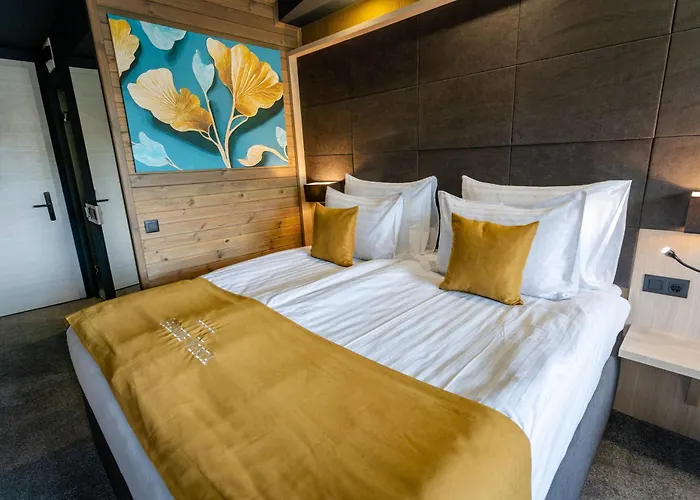 Grande Vista & 5* تسيغوف تشارك