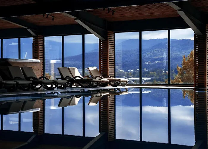 Grande Vista & تسيغوف تشارك