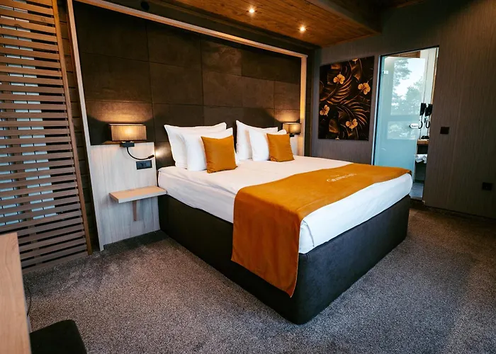 Grande Vista & ציגוב צ'ארק